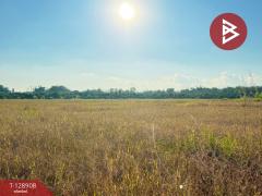 ขายที่ดิน เนื้อที่ 3 ไร่ 2 งาน 74 ตร.วา สันป่าตอง เชียงใหม่-202512171444411765957481366.jpg