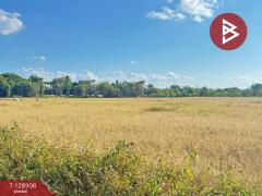 ขายที่ดิน เนื้อที่ 3 ไร่ 2 งาน 74 ตร.วา สันป่าตอง เชียงใหม่-202512171444421765957482443.jpg