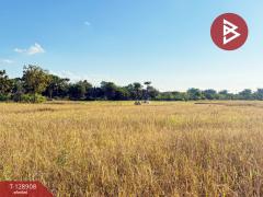 ขายที่ดิน เนื้อที่ 3 ไร่ 2 งาน 74 ตร.วา สันป่าตอง เชียงใหม่-202512171444421765957482986.jpg