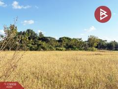 ขายที่ดิน เนื้อที่ 3 ไร่ 2 งาน 74 ตร.วา สันป่าตอง เชียงใหม่-202512171444441765957484010.jpg