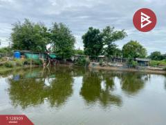 ขายที่ดิน เนื้อที่ 2 ไร่ 2 งาน 25 ตร.วา พานทอง ชลบุรี-202512171529161765960156474.jpg