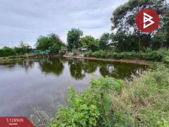 ขายที่ดิน เนื้อที่ 2 ไร่ 2 งาน 25 ตร.วา พานทอง ชลบุรี-202512171529171765960157042.jpg