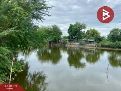 ขายที่ดิน เนื้อที่ 2 ไร่ 2 งาน 25 ตร.วา พานทอง ชลบุรี-202512171529171765960157758.jpg