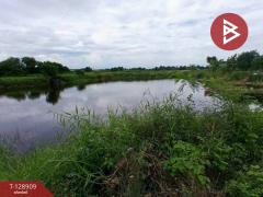 ขายที่ดิน เนื้อที่ 2 ไร่ 2 งาน 25 ตร.วา พานทอง ชลบุรี-202512171529181765960158289.jpg