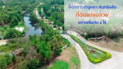 ขายที่ดินว่างเปล่ามือสองลำลูกกา  โครงการลำลูกกา คันทรี่ คลับ ปทุมธานี