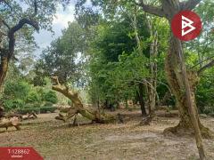 ขายที่ดิน เนื้อที่ 15 ไร่ 2 งาน 33.5 ตร.วา สาริกา นครนายก