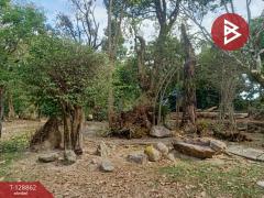 ขายที่ดิน เนื้อที่ 15 ไร่ 2 งาน 33.5 ตร.วา สาริกา นครนายก-202512171622441765963364897.jpg