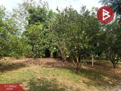 ขายที่ดิน เนื้อที่ 15 ไร่ 2 งาน 33.5 ตร.วา สาริกา นครนายก-202512171622481765963368511.jpg