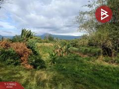 ขายที่ดิน เนื้อที่ 15 ไร่ 2 งาน 33.5 ตร.วา สาริกา นครนายก-202512171622501765963370378.jpg