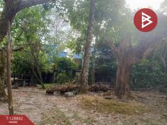 ขายที่ดิน เนื้อที่ 15 ไร่ 2 งาน 33.5 ตร.วา สาริกา นครนายก-202512171622531765963373860.jpg