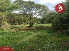 ขายที่ดิน เนื้อที่ 15 ไร่ 2 งาน 33.5 ตร.วา สาริกา นครนายก-202512171622541765963374716.jpg