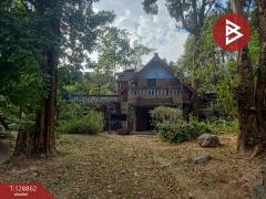 ขายที่ดิน เนื้อที่ 15 ไร่ 2 งาน 33.5 ตร.วา สาริกา นครนายก-202512171622571765963377529.jpg