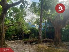 ขายที่ดิน เนื้อที่ 15 ไร่ 2 งาน 33.5 ตร.วา สาริกา นครนายก-202512171622581765963378386.jpg