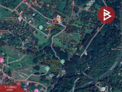 ขายที่ดิน เนื้อที่ 15 ไร่ 2 งาน 33.5 ตร.วา สาริกา นครนายก-202512171623011765963381491.jpg