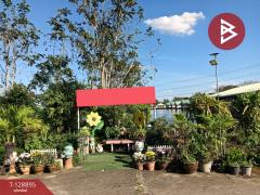 ขายรีสอร์ทพร้อมกิจการ เนื้อที่ 20 ไร่ 3 งาน 84 ตร.วา พนัสนิคม ชลบุรี-202512171625251765963525531.jpg