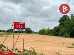 ขายที่ดิน เนื้อที่ 3 ไร่ 2 งาน 96.4 ตร.วา พลายชุมพล พิษณุโลก-202512171636511765964211645.jpg