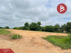 ขายที่ดิน เนื้อที่ 3 ไร่ 2 งาน 96.4 ตร.วา พลายชุมพล พิษณุโลก-202512171636521765964212698.jpg