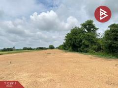 ขายที่ดิน เนื้อที่ 3 ไร่ 2 งาน 96.4 ตร.วา พลายชุมพล พิษณุโลก-202512171636531765964213237.jpg