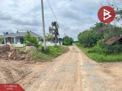 ขายที่ดิน เนื้อที่ 3 ไร่ 2 งาน 96.4 ตร.วา พลายชุมพล พิษณุโลก-202512171636541765964214311.jpg