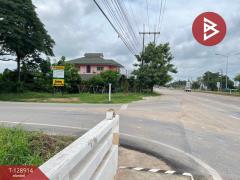 ขายที่ดิน เนื้อที่ 3 ไร่ 2 งาน 96.4 ตร.วา พลายชุมพล พิษณุโลก-202512171636541765964214851.jpg