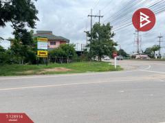 ขายที่ดิน เนื้อที่ 3 ไร่ 2 งาน 96.4 ตร.วา พลายชุมพล พิษณุโลก-202512171636551765964215784.jpg