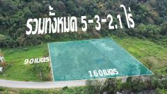 ขายถูกมาก!! ที่ดิน 5 ไร่ 3 งาน ติดถนนและลำน้ำ ด้านหลังติดภูเขา อ.ดอยสะเก็ด จ.เชียงใหม่ ใกล้อุทยานแม่ตะไคร้และขุนแจ-202512172233171765985597187.jpg