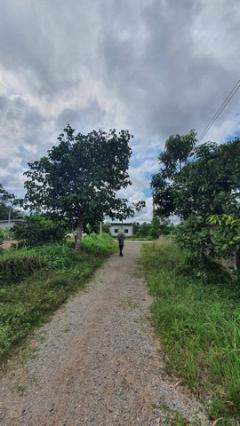 ขายที่ดินเปล่าพุนพิน เขาหัวควาย ทำเลดี เข้าออกได้ 2 เส้นทาง เส้นสถานีรถไฟพุนพิน ถนนบรรเทา 3/5