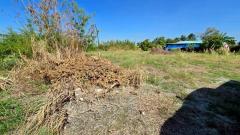 ร้อนเงินขายต่ำกว่าประเมินที่ดิน 2 ไร่ครึ่ง ทำเลดี ถนน นบ.3015 ต.ไทรใหญ่ อ.ไทรน้อย จ.นนทบุรี-202512180209121765998552987.jpg