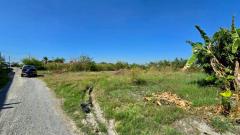 ร้อนเงินขายต่ำกว่าประเมินที่ดิน 2 ไร่ครึ่ง ทำเลดี ถนน นบ.3015 ต.ไทรใหญ่ อ.ไทรน้อย จ.นนทบุรี-202512180209131765998553646.jpg