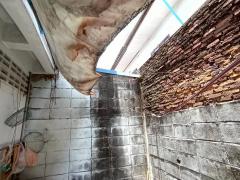 ขายทาวน์เฮ้าส์ 2 ชั้น หมู่บ้านเพชรเกษม 1 ใกล้ตลาด 7-11 โรงพยาบาล  เขตหนองแขม จังหวัดกรุงเทพมหานคร-202512181010121766027412267.jpeg