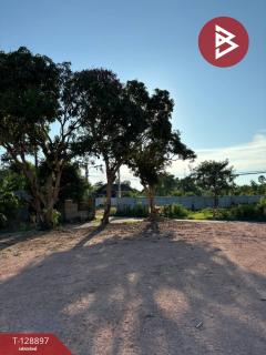 ขายที่ดิน เนื้อที่ 1 งาน 53 ตร.วา ท่าใหม่ จันทบุรี-202512181016301766027790030.jpg