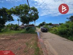 ขายที่ดิน เนื้อที่ 1 งาน 53 ตร.วา ท่าใหม่ จันทบุรี-202512181016321766027792204.jpg