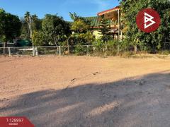 ขายที่ดิน เนื้อที่ 1 งาน 53 ตร.วา ท่าใหม่ จันทบุรี-202512181016331766027793312.jpg