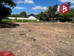 ขายที่ดิน เนื้อที่ 1 งาน 53 ตร.วา ท่าใหม่ จันทบุรี-202512181016331766027793841.jpg