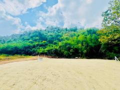 ขายที่ดินปากช่อง ใกล้เขาใหญ่ ที่ดินติดภูเขา วิวภูเขาชัดเจน ตำบลขนงพระ ปากช่อง นครราชสีมา (เจ้าของขายเอง)-202512181416071766042167993.jpg