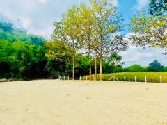 ขายที่ดินปากช่อง ใกล้เขาใหญ่ ที่ดินติดภูเขา วิวภูเขาชัดเจน ตำบลขนงพระ ปากช่อง นครราชสีมา (เจ้าของขายเอง)-202512181416091766042169966.jpg