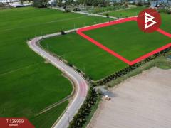 ขายที่ดิน เนื้อที่ 10 ไร่ บางบ่อ สมุทรปราการ-202512181646301766051190916.jpg