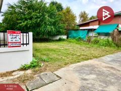 ขายที่ดิน เนื้อที่ 44 ตร.วา ปักธงชัย นครราชสีมา-202512181739421766054382194.jpg