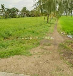 ที่ดินถมแล้ว คลอง 23 ใกล้อบต.ศีรษะกระบือ ถ.รังสิต-นครนายก องครักษ์ นครนายก-202512181750591766055059053.jpg