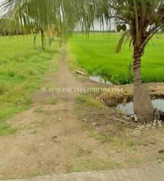 ที่ดินถมแล้ว คลอง 23 ใกล้อบต.ศีรษะกระบือ ถ.รังสิต-นครนายก องครักษ์ นครนายก-202512181751011766055061217.jpg