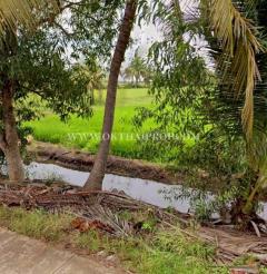 ที่ดินถมแล้ว คลอง 23 ใกล้อบต.ศีรษะกระบือ ถ.รังสิต-นครนายก องครักษ์ นครนายก-202512181751031766055063592.jpg