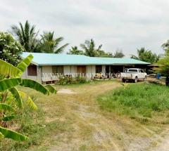 ที่ดินถมแล้ว คลอง 23 ใกล้อบต.ศีรษะกระบือ ถ.รังสิต-นครนายก องครักษ์ นครนายก-202512181751121766055072041.jpg