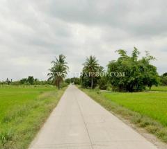 ที่ดินถมแล้ว คลอง 23 ใกล้อบต.ศีรษะกระบือ ถ.รังสิต-นครนายก องครักษ์ นครนายก-202512181751151766055075014.jpg