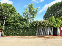 บ้านเดี่ยว 125 ตรว.ใกล้เมือง-202512181815561766056556604.jpg