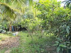 บ้านเดี่ยว 125 ตรว.ใกล้เมือง-202512181817371766056657896.jpg