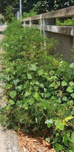 ขายที่ดิน 1ไร่ ซอยสุขุมวิท64 พร้อมสิ่งปลูกสร้างเดิม ที่สวยแปลงสี่เหลี่ยม ไฟฟ้า ประปาพร้อมใช้ เดินทางสะดวก ใก้ลBTSปุณณวิถี ทางด่วน ทรูดิจิตอลพาร์ค