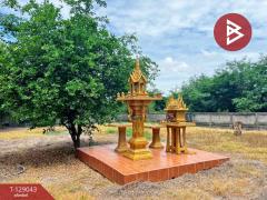 ขายบ้านเดี่ยว เนื้อที่ 395 ตารางวา เดิมบางนางบวช สุพรรณบุรี ทำเลดีค้าขาย-202512191430211766129421790.jpg