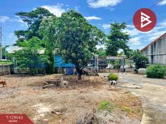 ขายบ้านเดี่ยว เนื้อที่ 395 ตารางวา เดิมบางนางบวช สุพรรณบุรี ทำเลดีค้าขาย-202512191430221766129422328.jpg