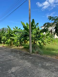 ขายที่ดินราคาถูก ต่ำกว่าราคาประเมินราชการ ที่ดินถมแล้ว 70 ตรว. ในหมู่บ้าน มณีรินทร์ เลค & ลากูน ต.บ้านกลาง อ.เมืองปทุมธานี จ.ปทุมธานี ราคา 1,855,000 บาท-202512211636251766309785627.jpg