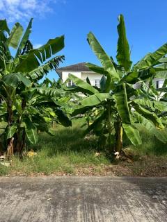 ขายที่ดินราคาถูก ต่ำกว่าราคาประเมินราชการ ที่ดินถมแล้ว 70 ตรว. ในหมู่บ้าน มณีรินทร์ เลค & ลากูน ต.บ้านกลาง อ.เมืองปทุมธานี จ.ปทุมธานี ราคา 1,855,000 บาท-202512211636271766309787344.jpg